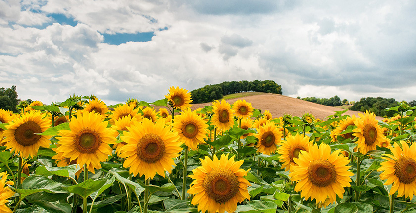 Tim zadruge na sastanku